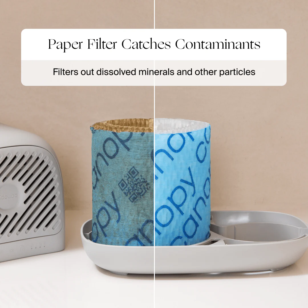 Personalized Bedside Humidifier 2.0