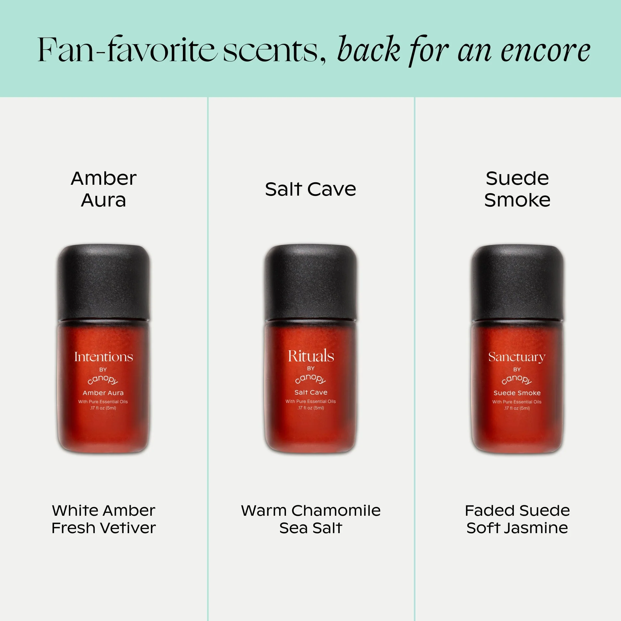 Encore Aroma Kit
