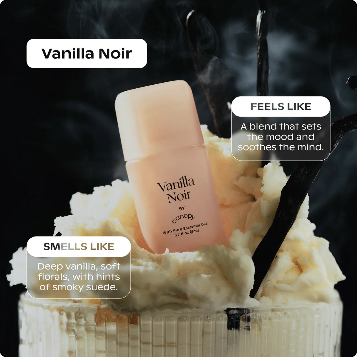 Vanilla Noir Aroma