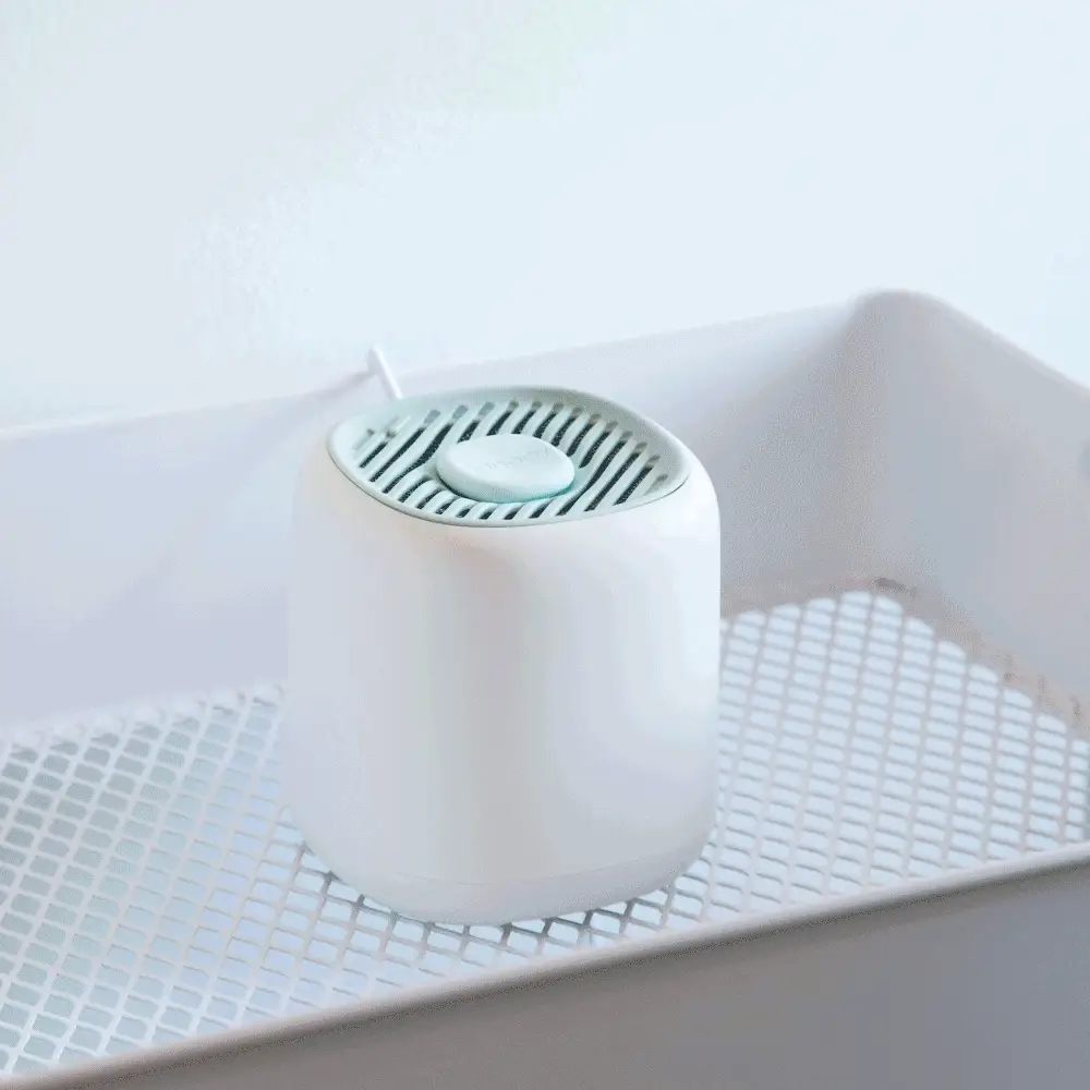 Diffuser Aroma + Well Subscription