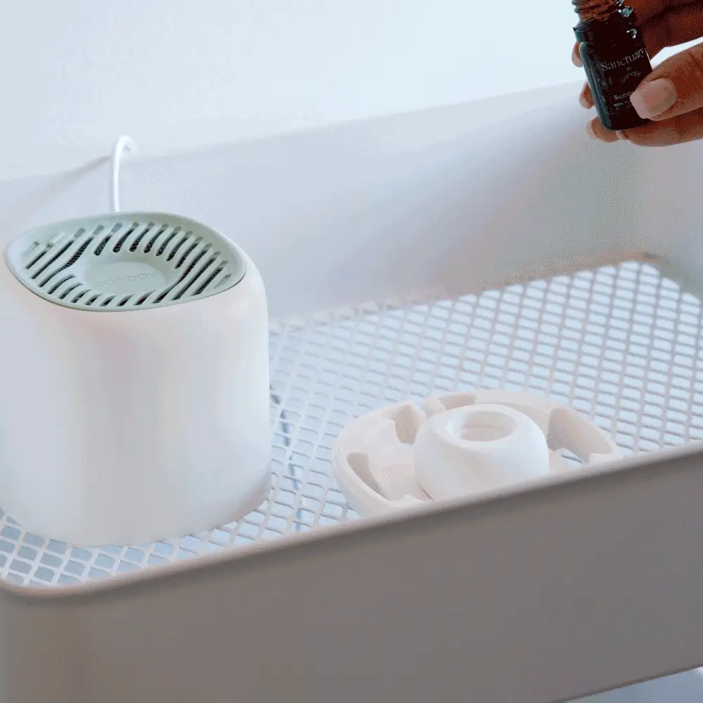Diffuser Aroma + Well Subscription