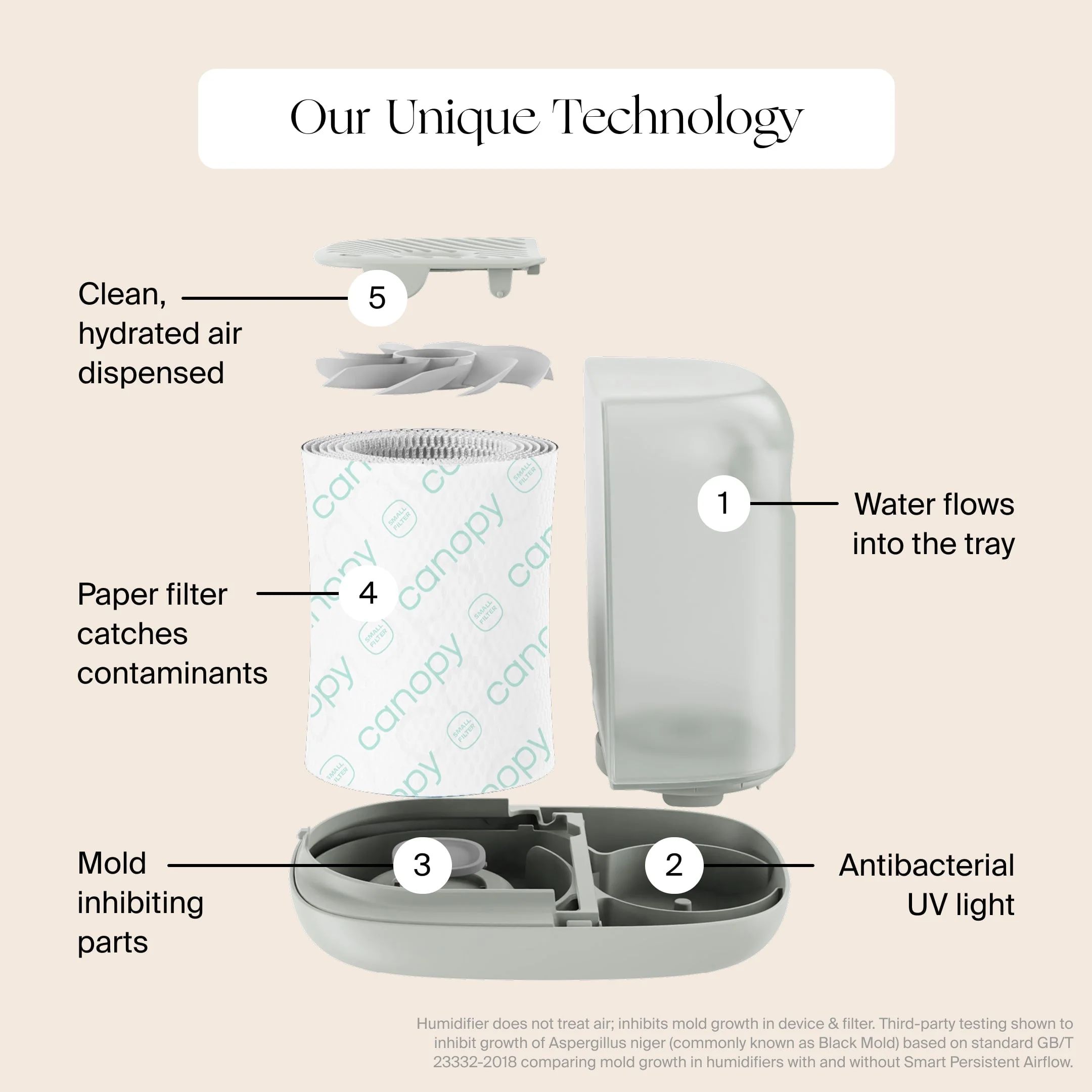 All-in-One Humidifier & Purifier