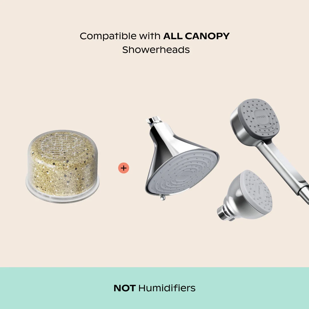 Showerhead Filter Bundle